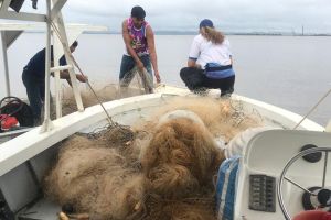 notícia: Ideflor-bio apreende equipamentos ilegais, arma caseira e mais de duas toneladas de pescado