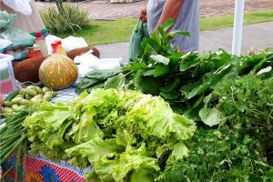 notícia: 1ª Feira do Agricultor do Ideflor-bio trará variedade em alimentos saudáveis