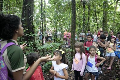 notícia: Colônia de Férias do Parque do Utinga aproxima crianças da natureza