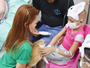galeria: Pet terapia: Hospital Regional de Santarém promove reabilitação de pacientes com auxílio de animais