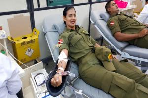 notícia: 100 militares aderem à campanha do carnaval e salvam vidas