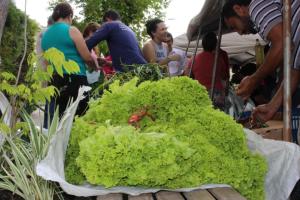 notícia: Produtos da agricultura familiar serão comercializados nesta quarta-feira (30), em Belém