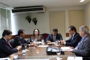 galeria: Ação integrada é tema de reunião entre Semas, ibama e ICMbio