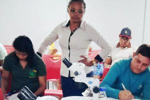 galeria: Laboratório Central treina agentes para monitorar transmissores das leishmanioses