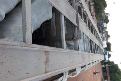 galeria: Sefa apreende 24 cabeças de gado no Itinga, fronteira com o Maranhão