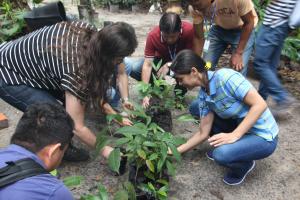 notícia: Prodepa comemora Dia Mundial das Florestas com programação ecológica