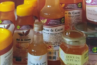 galeria: Governo do Pará tem forte presença durante programação técnica em Ilhéus, na Bahia