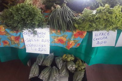 notícia: Emater realiza feira para homenagear dia do agricultor rural