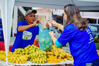 notícia: Feira Ecológica no Campus da Uepa estimula alimentação sem agrotóxicos