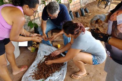 notícia: Projeto Quintais Produtivos capacita agricultores de Marituba