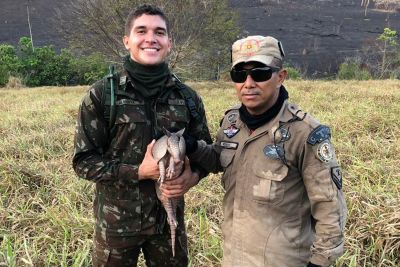 galeria: Operação segue combate a incêndios em Novo Progresso e Marabá