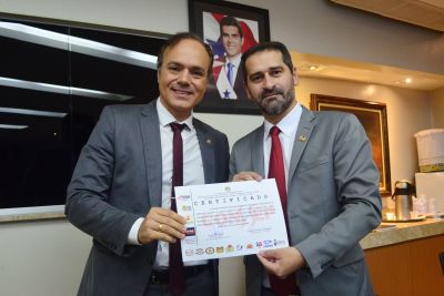 galeria: Conselho Estadual de Segurança empossa vice-presidente