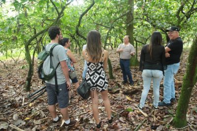 galeria: Jornalistas conhecem técnicas de melhoramento da produção de cacau no Pará