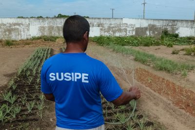 galeria: Parceria propõe contratação de internos como mão de obra em empresas