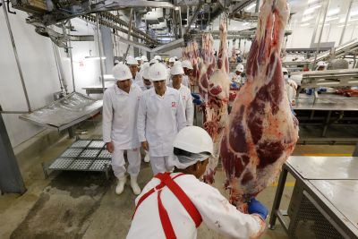 notícia: Pará fortalece o mercado paraense com adesão ao Sistema de Inspeção de Produtos Animais 