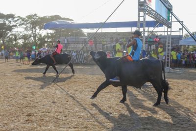 notícia: Festival do Cavalo Marajoara movimenta a economia e o turismo em Soure