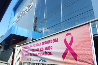 notícia: Delegacia de Atendimento à Mulher de Ananindeua completa um ano de atuação