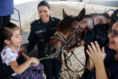 galeria: Alegria e cuidado integral com a saúde são marcas da equoterapia