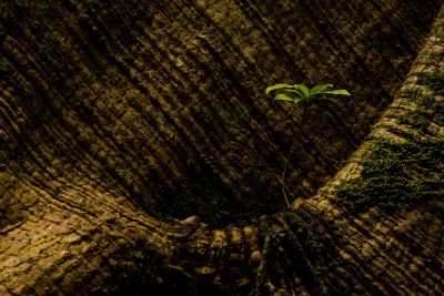 notícia: Prorrogadas as inscrições para o concurso fotográfico “Olhar de Servidor”