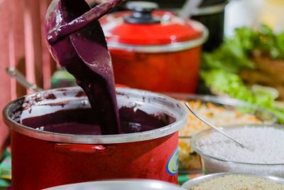 notícia: Pesquisadores identificam no açaí espécies de bactérias com potencial probiótico