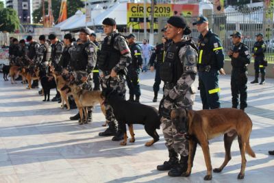 galeria: Operação K-9' reforça policiamento preventivo e repressivo no centro de Belém
