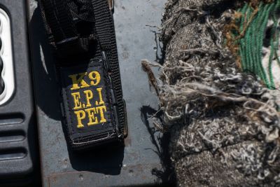 galeria: Parceria, eficiência e afeto marcam trabalho dos cães na PMPA