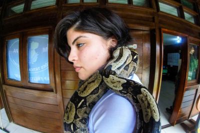 galeria: Batalhão de Polícia Ambiental qualifica educadores e trabalha no resgate de animais silvestres