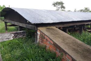 galeria: Assentados de Conceição do Araguaia vão a Tucumã conhecer experiências da Emater com cacau