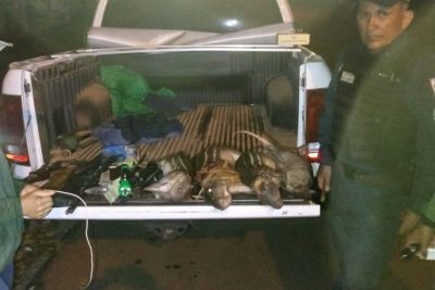 galeria: Fiscalização na rodovia PA-263 apreende caminhões com madeira ilegal