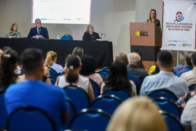 galeria: Sespa promove oficina sobre práticas que protegem saúde de gestantes e bebês