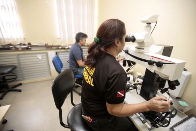 notícia: Centro de Perícias Científicas passa por reestruturação investindo em pessoal e equipamentos