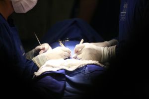 notícia: Hospital Ophir Loyola realiza mutirão de cirurgia eletiva aos finais de semana