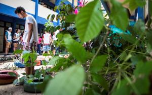 notícia: Calouros do campus da Uepa participarão de Ecotrote