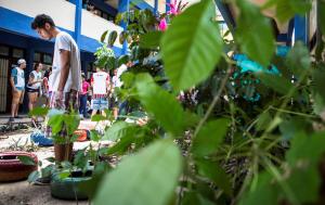 galeria: Calouros do campus da Uepa participarão de Ecotrote