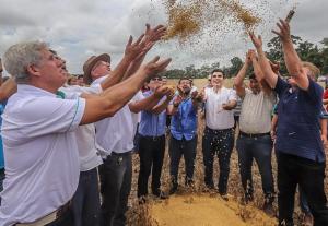 notícia: Belterra inicia colheita de grãos com aumento da produção