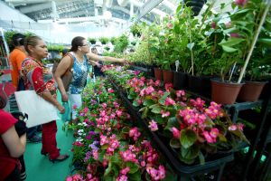 notícia: Sedap participa de feira de negócios em Belém