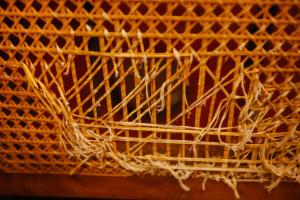 galeria: Theatro da Paz recebe obras de melhorias.