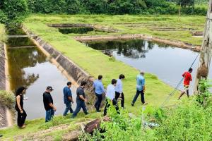 notícia: Abandono de Unidade Agropecuária causa mortes de espécies 
