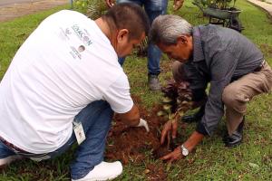 notícia: Unacon comemora vitórias diárias na semana de combate ao câncer