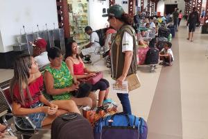notícia: Adepará intensifica campanha contra a mosca da carambola no feriado de Carnaval