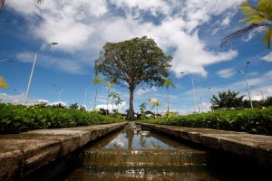 notícia: No Dia Mundial do Meio Ambiente, alunos da rede pública estadual visitam o Parque do Utinga