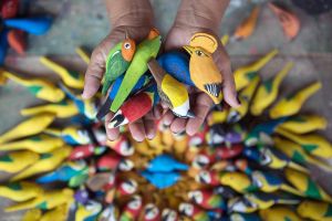 notícia: Festival do Miriti promete gerar empregos e celebrar tradição local