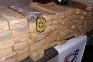 notícia: Polícia Civil apreende 81 quilos de maconha em Ananindeua