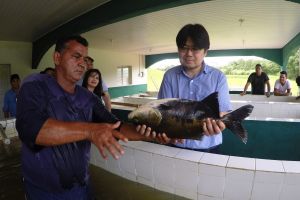 notícia: Estações de piscicultura começam reprodução de peixes após revitalização