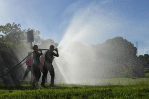 notícia: Pará cria programa estadual para combater queimadas e incêndios florestais com foco em prevenção e integração