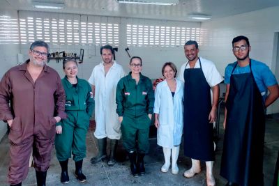 notícia: Servidoras da Adepará fazem visita e capacitação técnica na Bahia