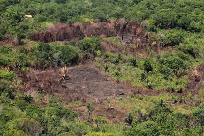 notícia: Governo do Estado intensifica fiscalização ambiental com base em dados do Inpe