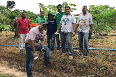 notícia: Emater implanta unidade de açaí irrigado na região sudoeste 