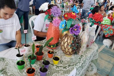 notícia: Oitava edição da Vitrine Artesanal reúne mais de 90 produtores