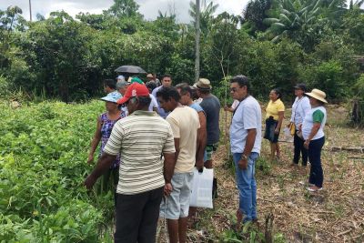 notícia: Emater promove dia de campo em Mosqueiro